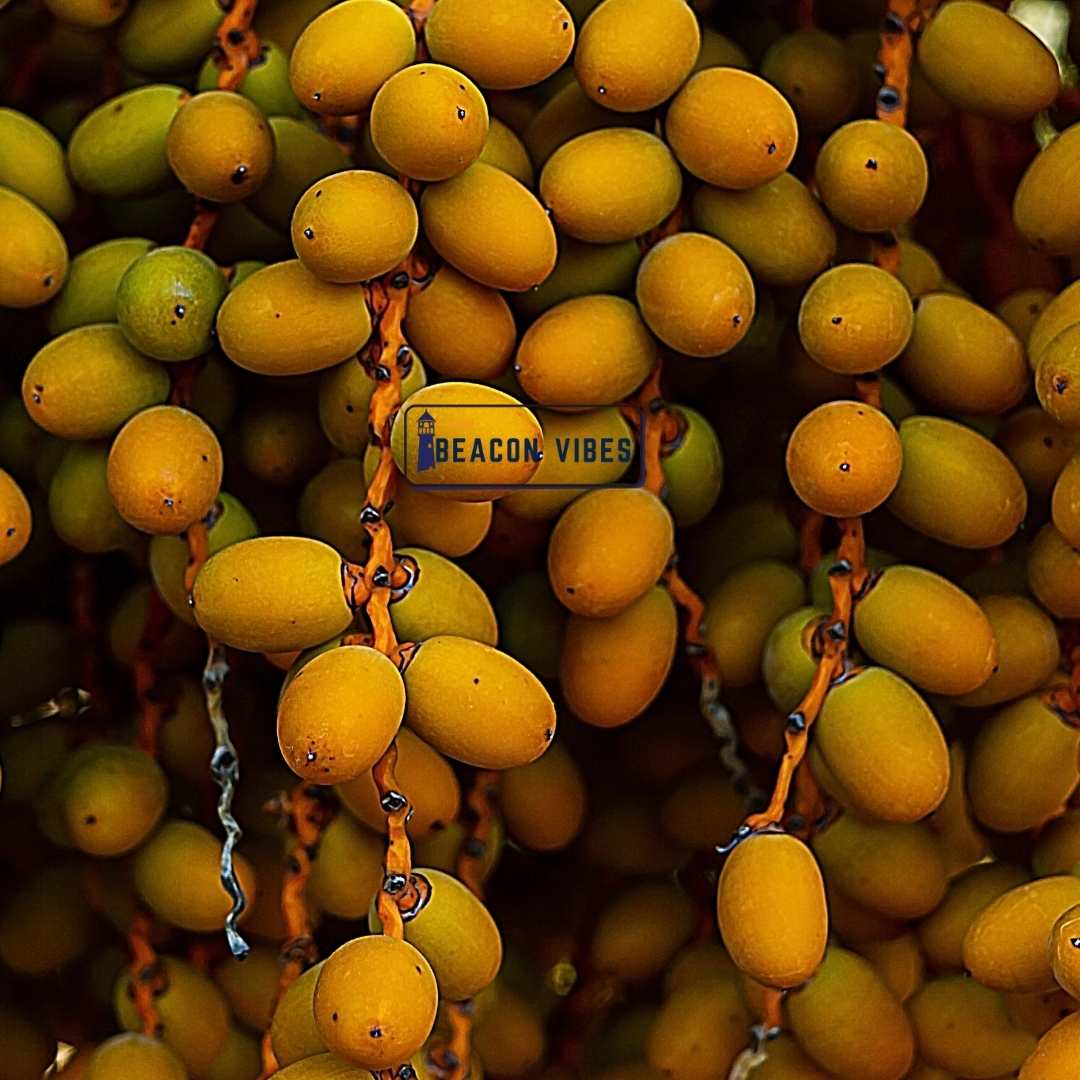 Dates Nutrition Facts