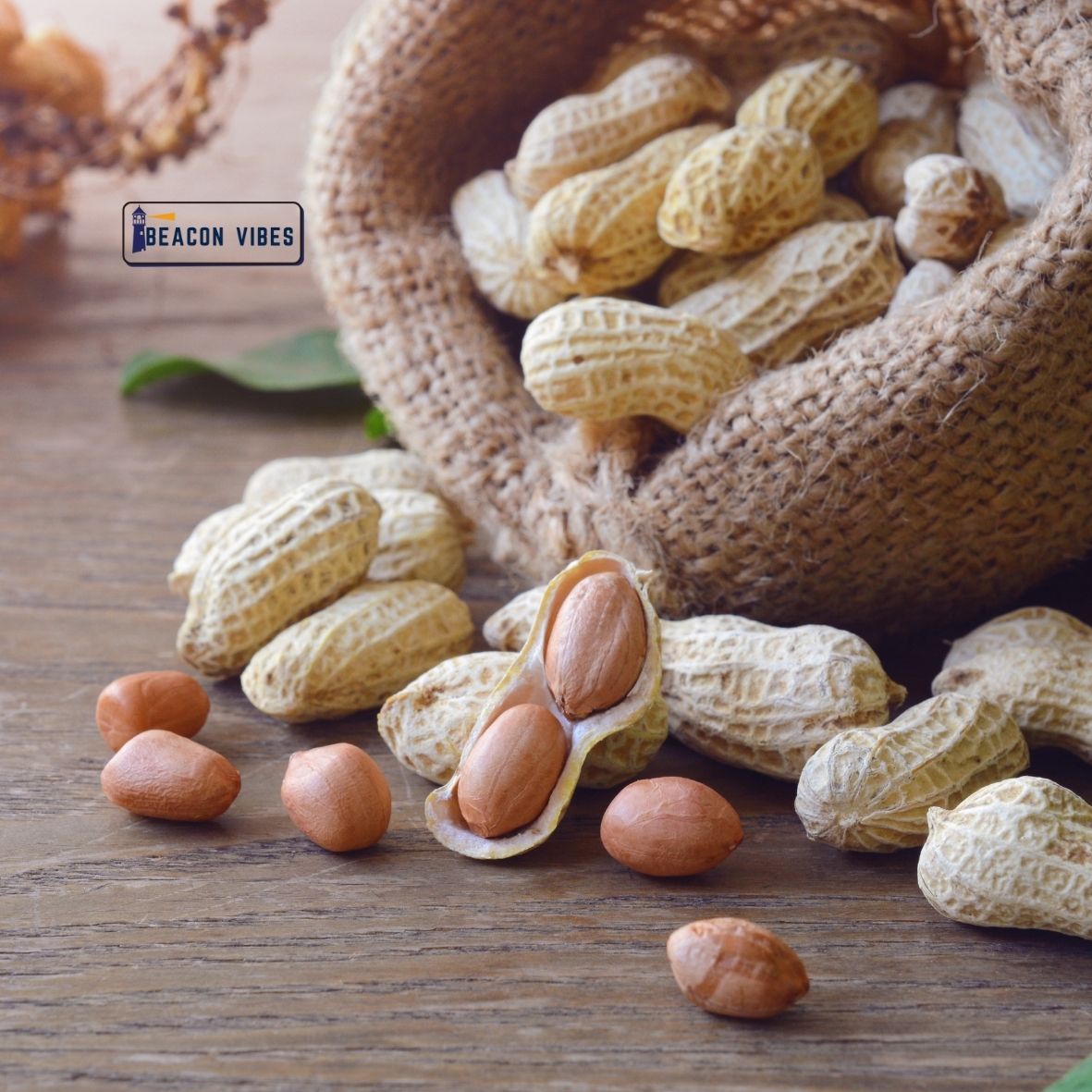 Peanuts Benefits for Health: Everything You Should Know