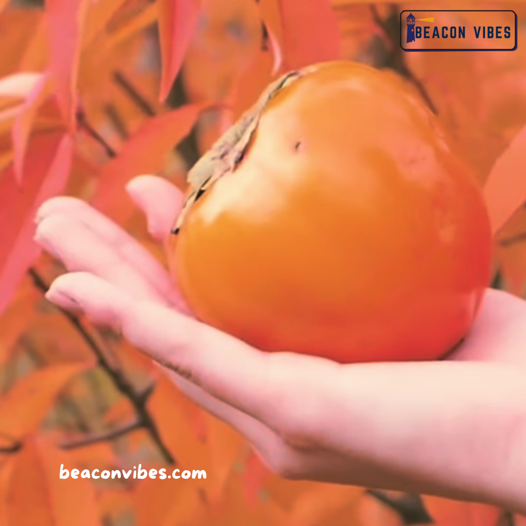 All You Should Know About Ramphal